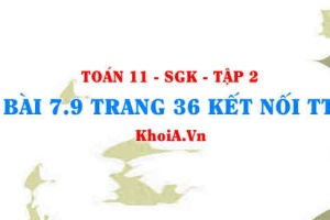 Bài 7.9 trang 36 Toán 11 Kết nối tri thức Tập 2